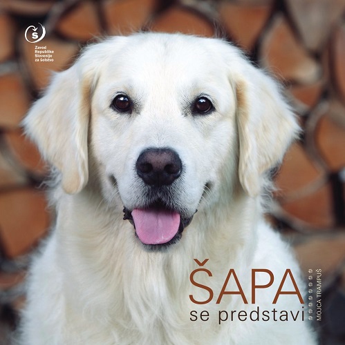 sapa_.jpg